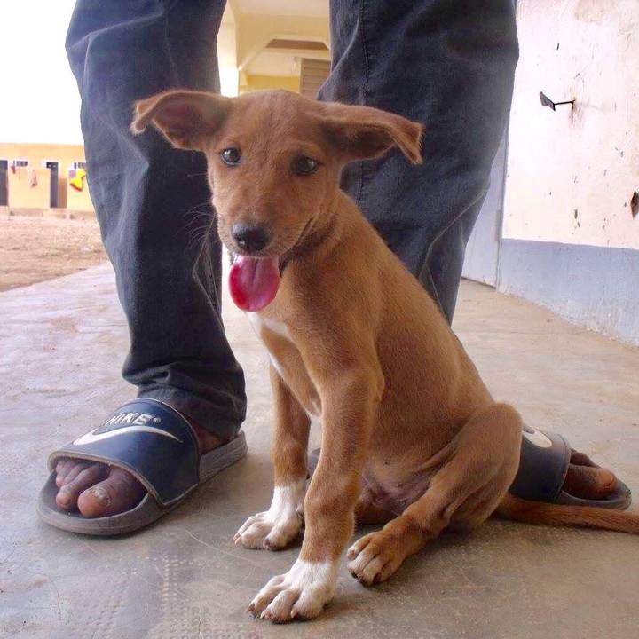 7bbeffca 250a 4465 bad6 a663f323a77b