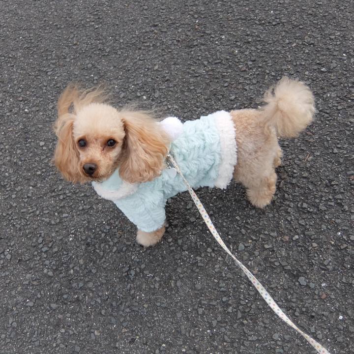 7bbf2358 ad63 4b40 982e a26b9dc0989d