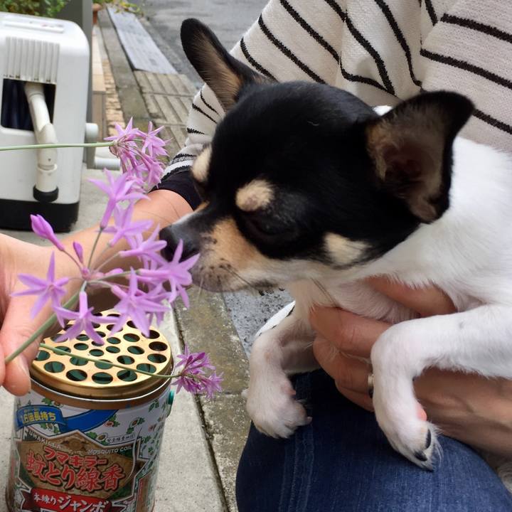 7bbf4df2 c695 4d47 8d7b dc6ed428004b