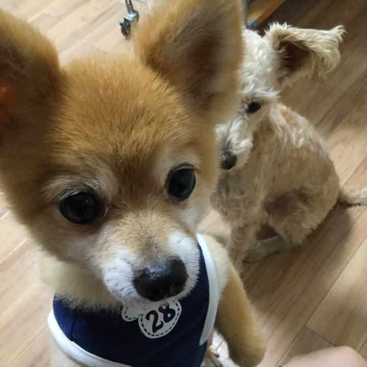 7bbfb5e9 0ee0 4252 829d 9315fd6461b0