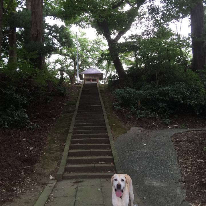 7bc06255 047f 467b b54d 975994374159