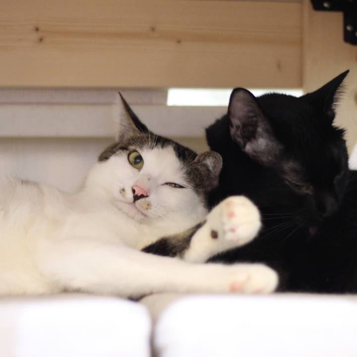 7bc08587 e7e8 4b38 84fc 8eb9cf1dd0f1