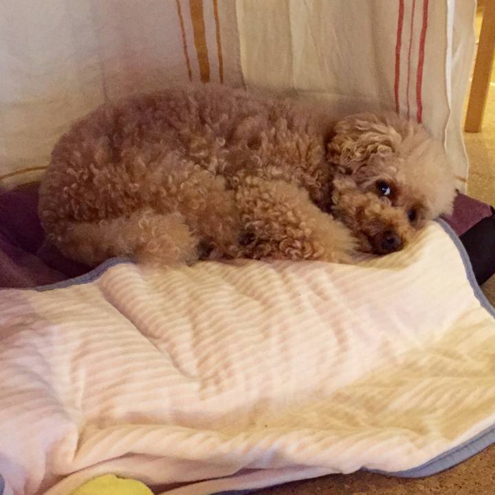 7bc0bcbf a5f3 4ce4 91ae 90ceb80c677b