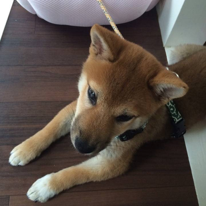 7bc1ed75 4d9e 404d a158 52522ecd2ba4