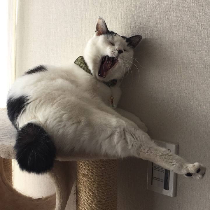 7bc20ac8 703f 49fb ae6e 971e1a046123