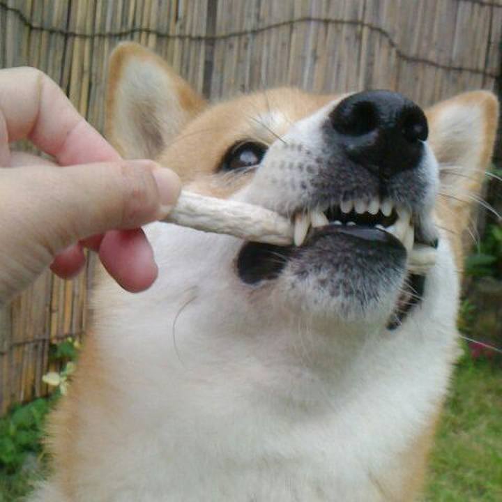 7bc2df35 335c 4705 9157 e45a5c9aa096