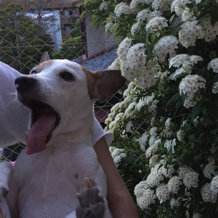 7bc2e71a a07e 4a58 864e db918faa2bee