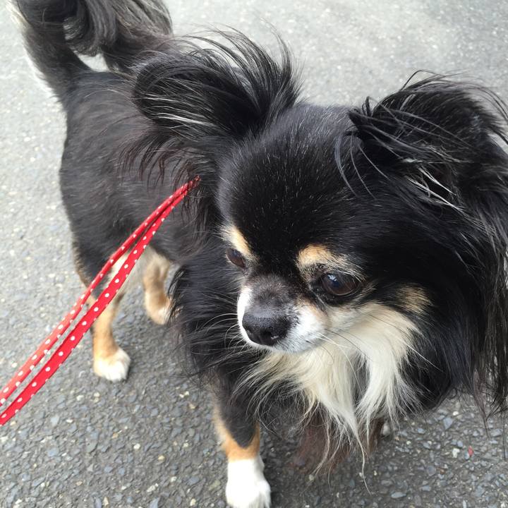 7bc559dd f22c 4837 b1a3 d37268c285f9