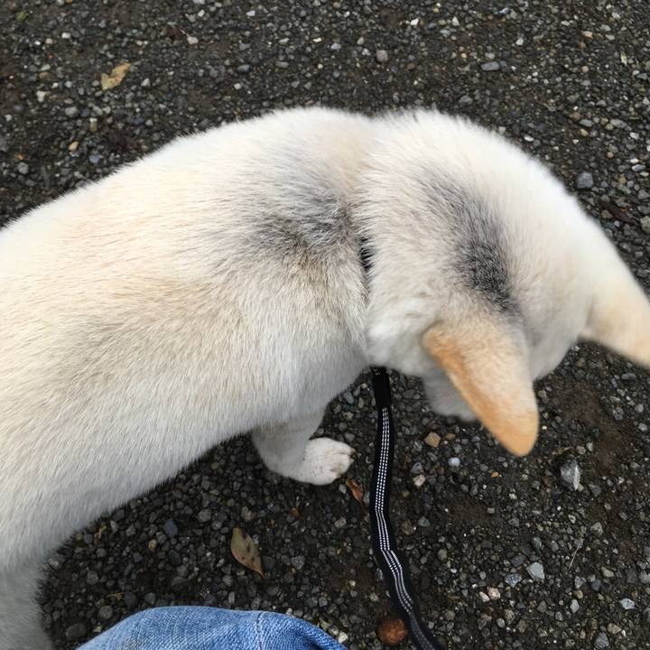 7bc60454 6a4a 4eb3 ad41 f38aed3d5864