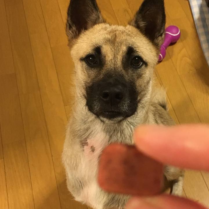 7bc666b4 1be5 48bc a8ab 857b7f1cb979