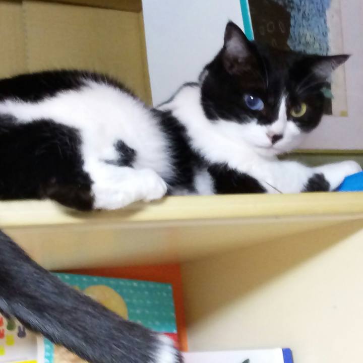 7bc69eef 662e 45f8 8c4b ed4e8f462fa3