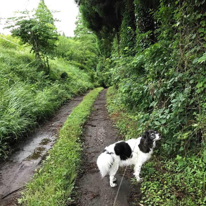 7bc7e274 9c6d 4aa9 8157 19721999d8b8