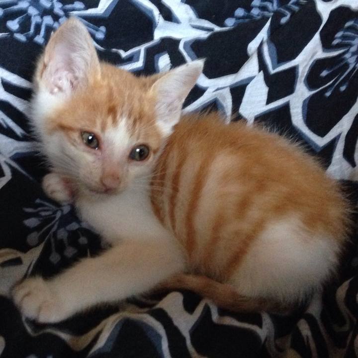 7bc7ec80 d78f 4fe6 bed7 b10df113c03c