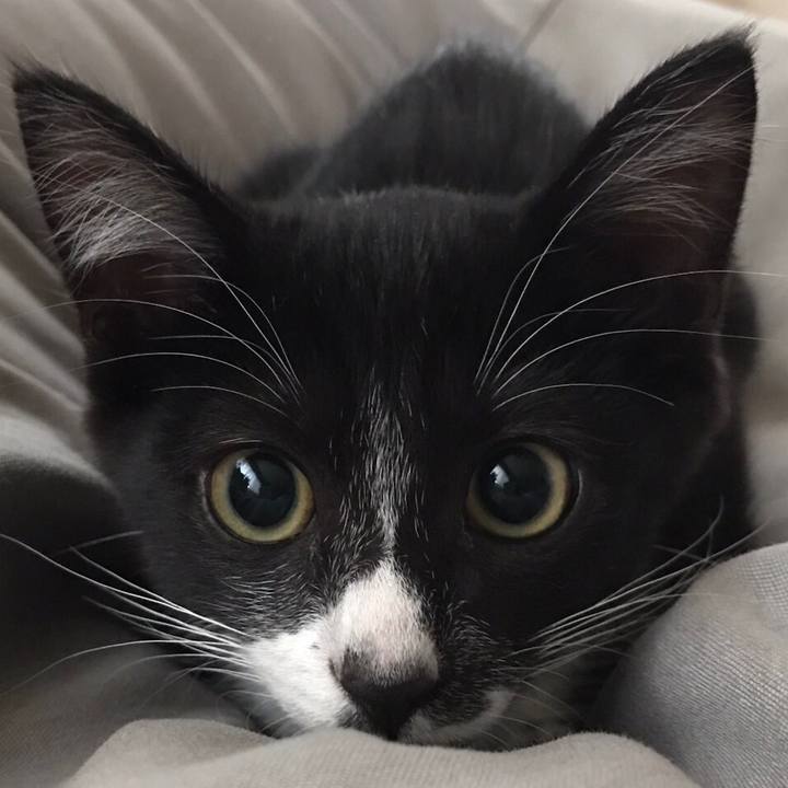 7bc88dbf 92df 4a1f b0da 137630fb568b