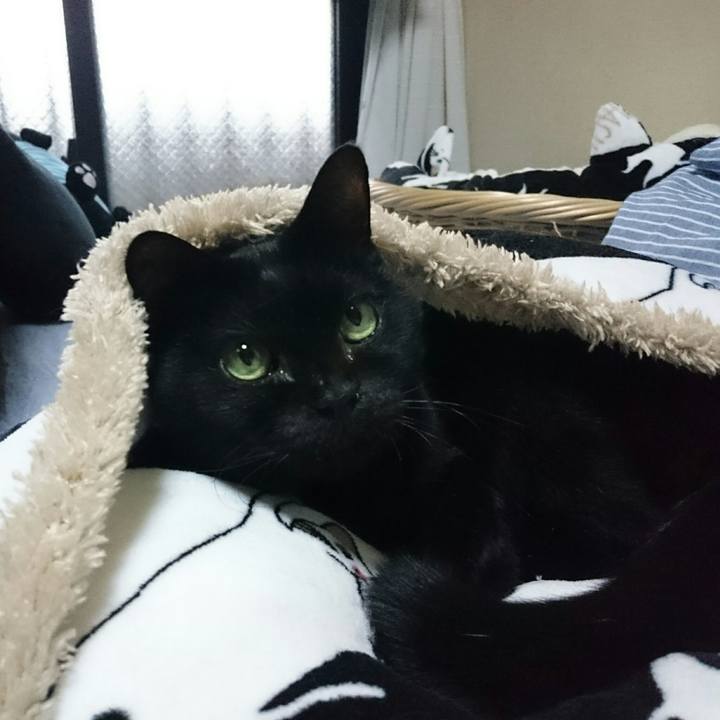 7bc91a83 a608 45c8 ab0e bc2e64d3c0e7