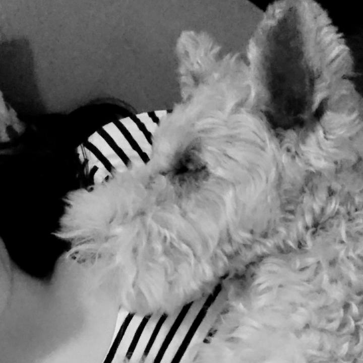 7bcbad1f 25a8 42cb 9c1b c06ba4f1702d