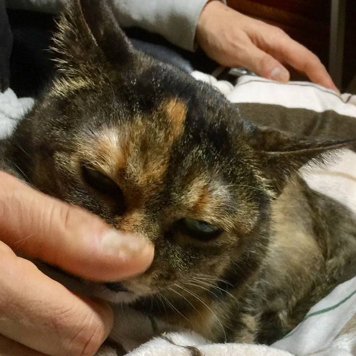 7bcbf209 cfa9 4b22 91f8 cd8a218e012b