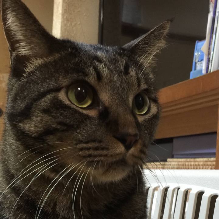 7bcc19a6 9f65 4c03 b218 7f95e78e09b1