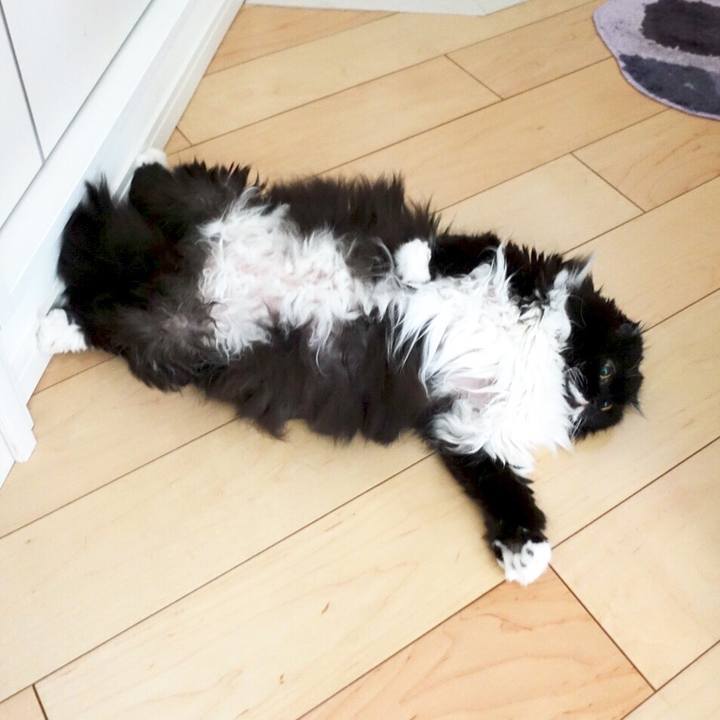 7bcc1c6c 0034 4b4a a605 4ecb644ef9c8