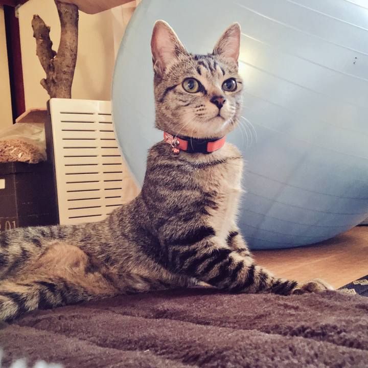 7bcc92a8 a339 4b7c b87c 82fdcd96846a