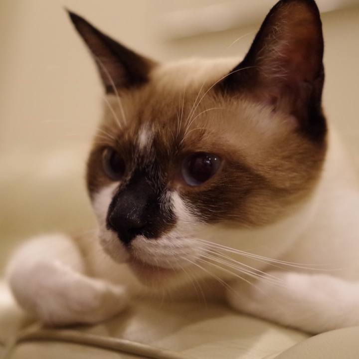 7bcca3c4 c217 4c60 9a6d 6760581917a6