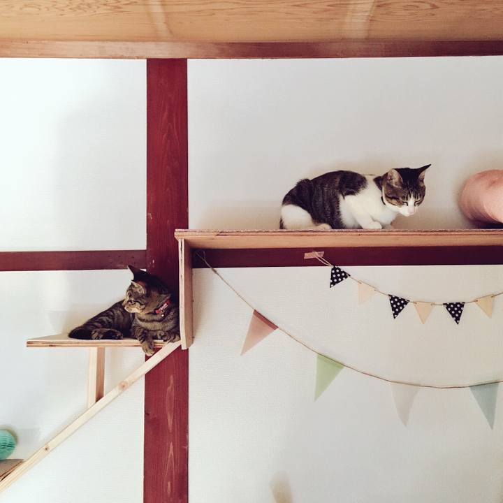 7bcd4972 8b35 4b02 b83d e6fe284b9eaa