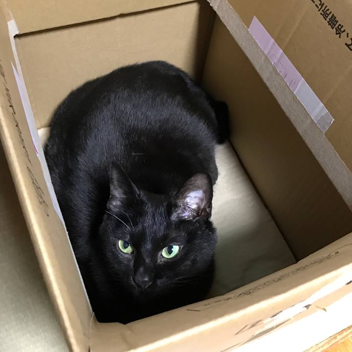 7bcd7768 ebdc 443f 9105 fc87baa0d20f