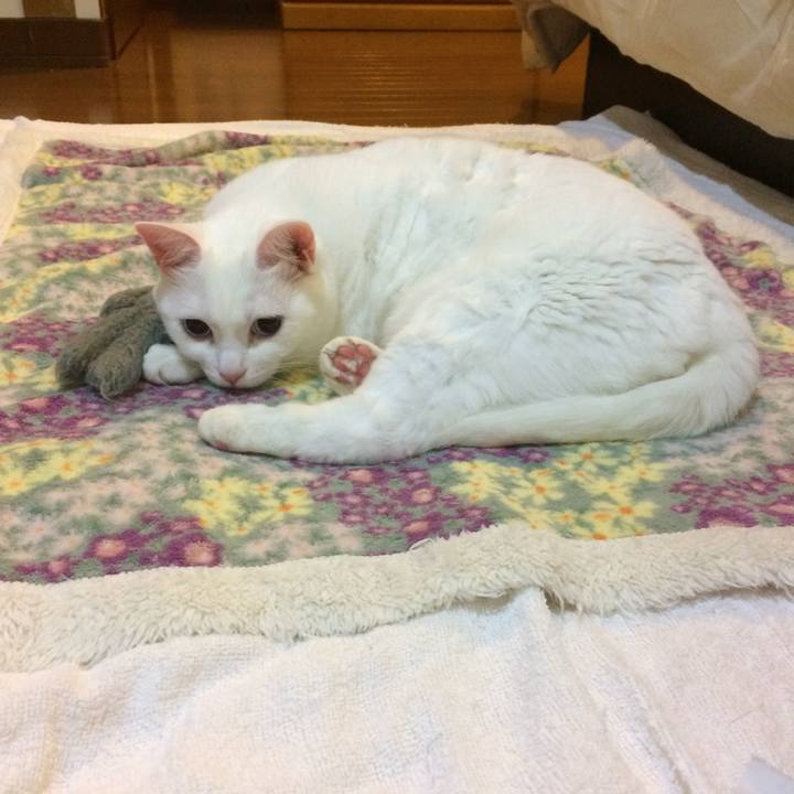 7bcd9238 99a4 43fb 93c1 5ca89b28fae5