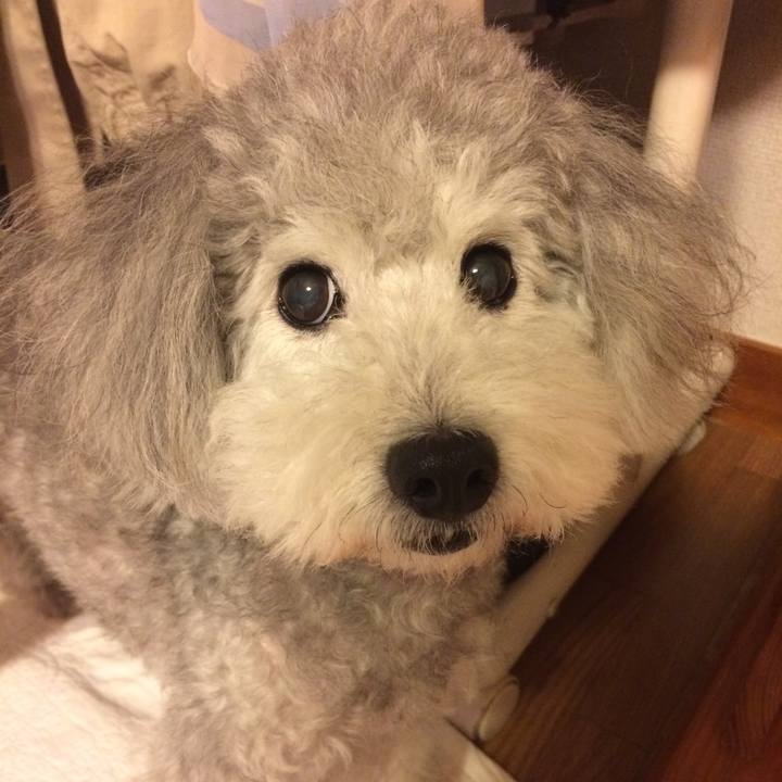 7bcdd2a0 25b4 4cd2 b96f b4fd99adf1a5