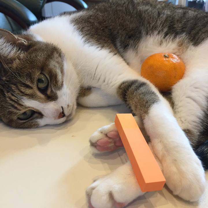 7bce175f b64d 446a a5b4 72afeecca429