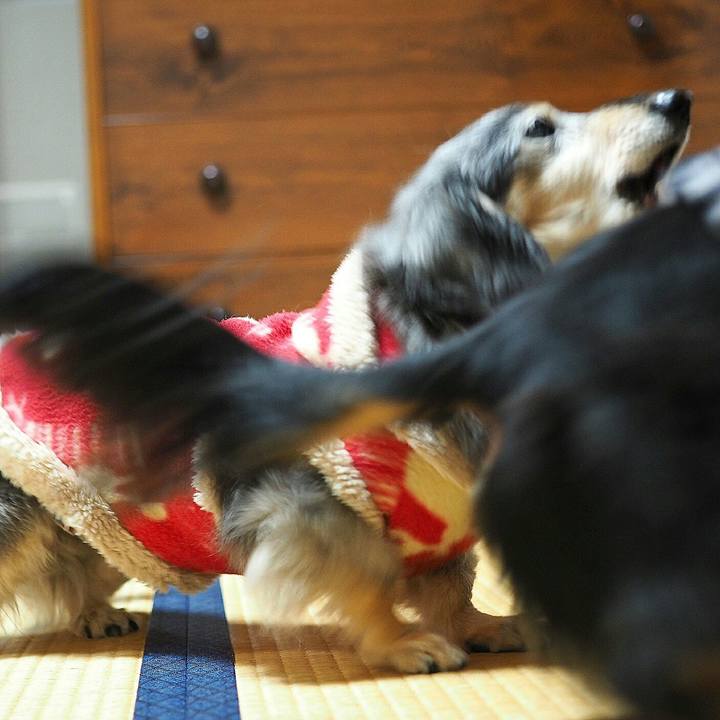 7bce3bad 31b9 481d 8ff7 db964ada1877