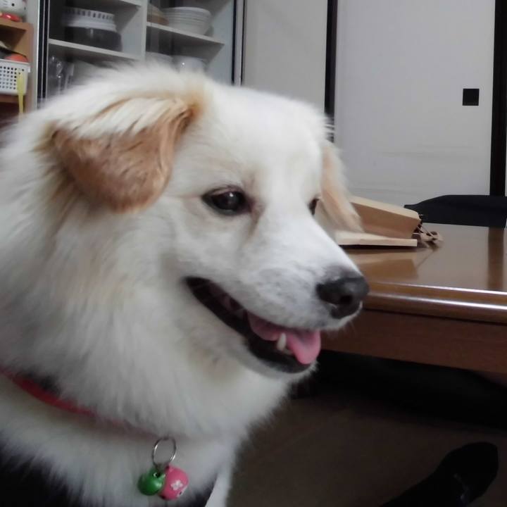 7bce69ec 5151 4927 bada 299fb2fc48ba