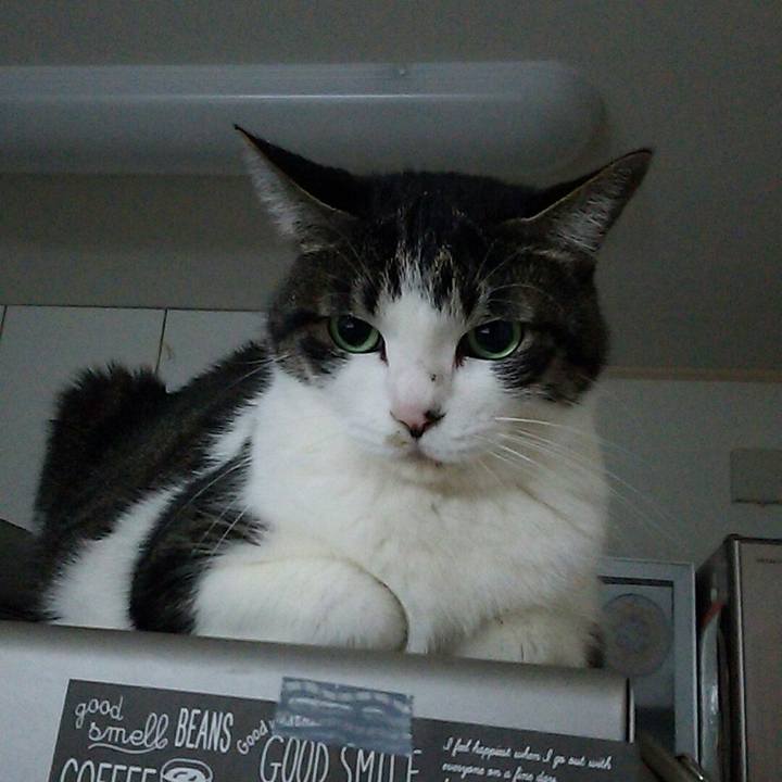 7bcf75e8 7c6e 41bd 8998 f2e1bb20f8dc