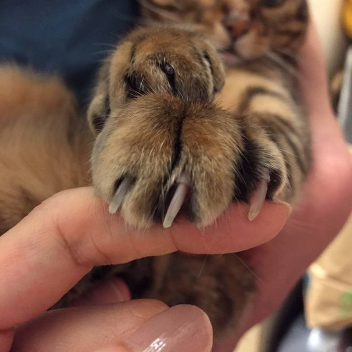 7bcfbe45 7390 4cfa 92c6 c33d28c570a0