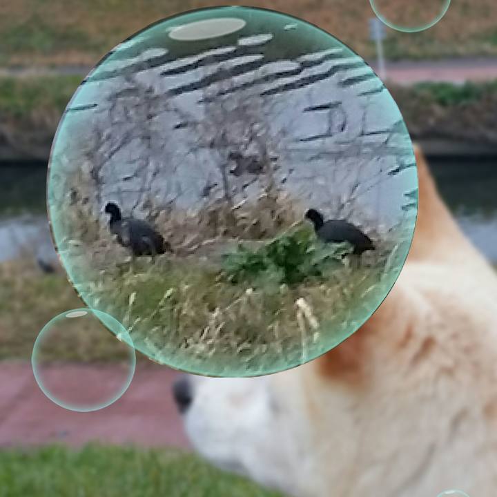 7bd04bb8 2764 4e64 b3d1 2078e1ebf18c