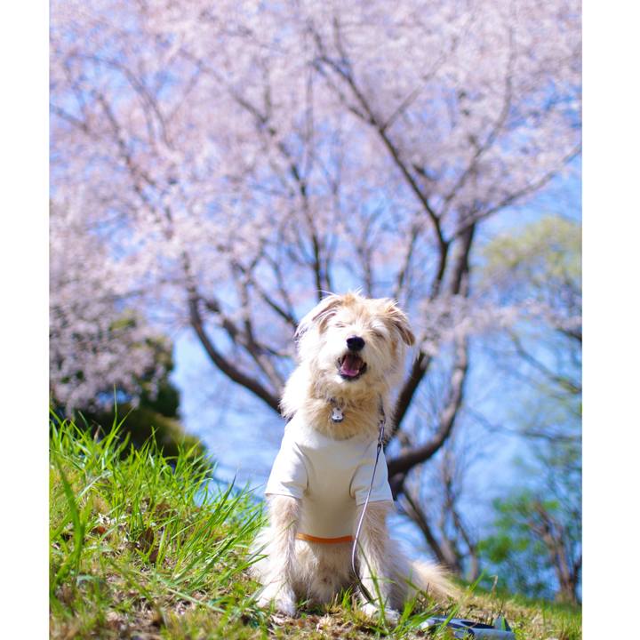 7bd0ea46 5055 418d 91e3 08a9b51b111a