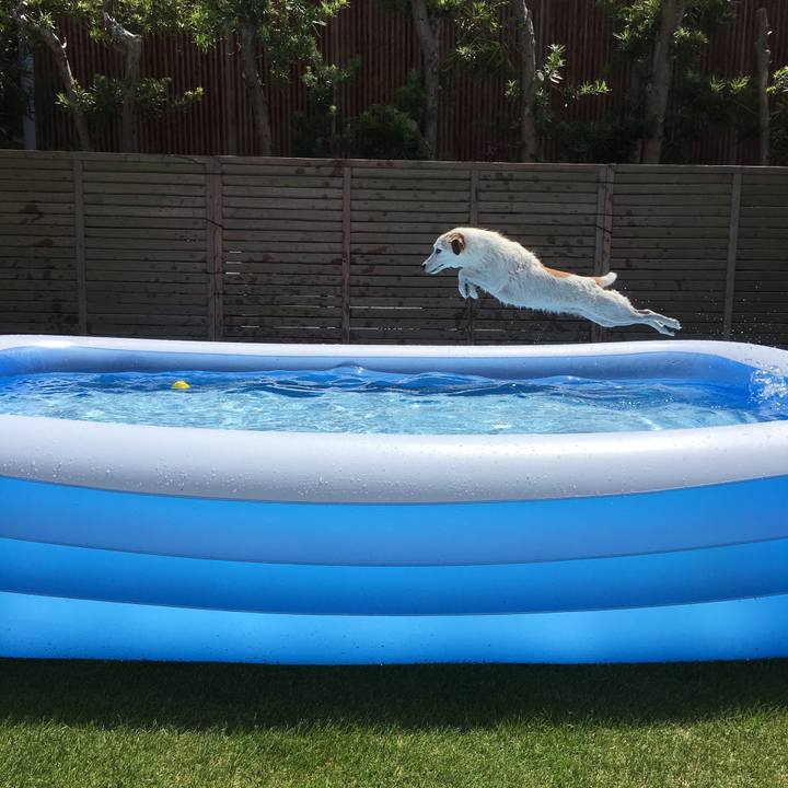 7bd165f8 1aec 4fe0 9e85 721dd2e11aaf