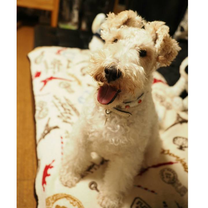 7bd36454 3676 4bdb a372 3b68d37f3f62