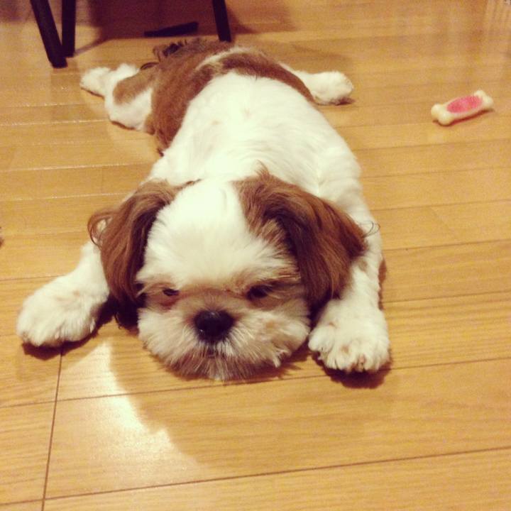 7bd36b7f 4c71 4e8e 877c 717010157322