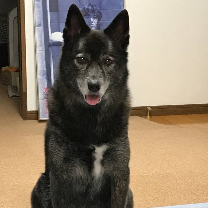 7bd3baeb 7a47 44fd 843f 1d099f58be4f