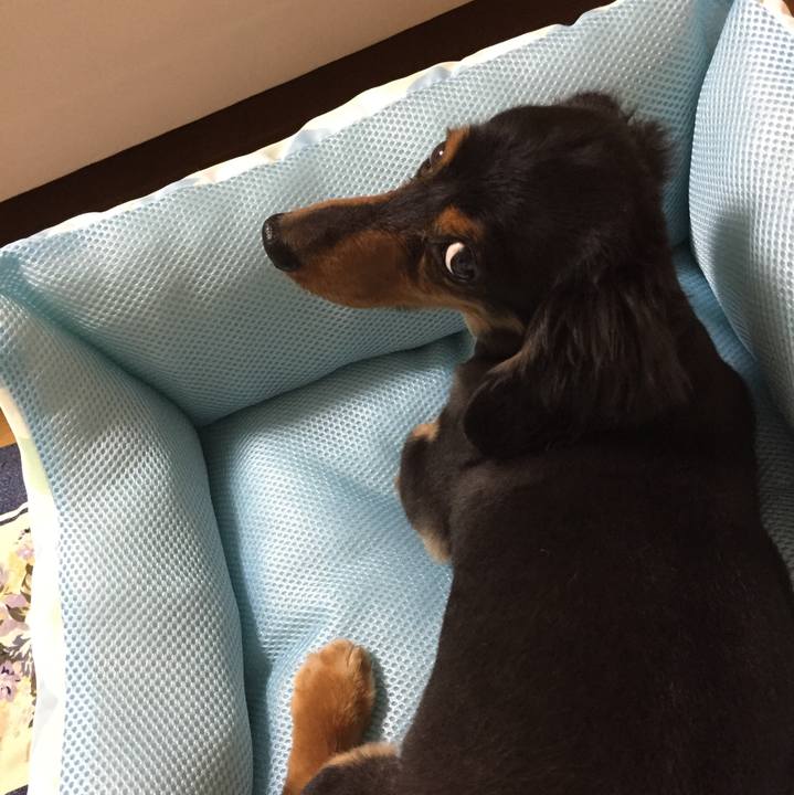 7bd3dc12 7f0f 4460 86bb 8f9c2b3e0bd9