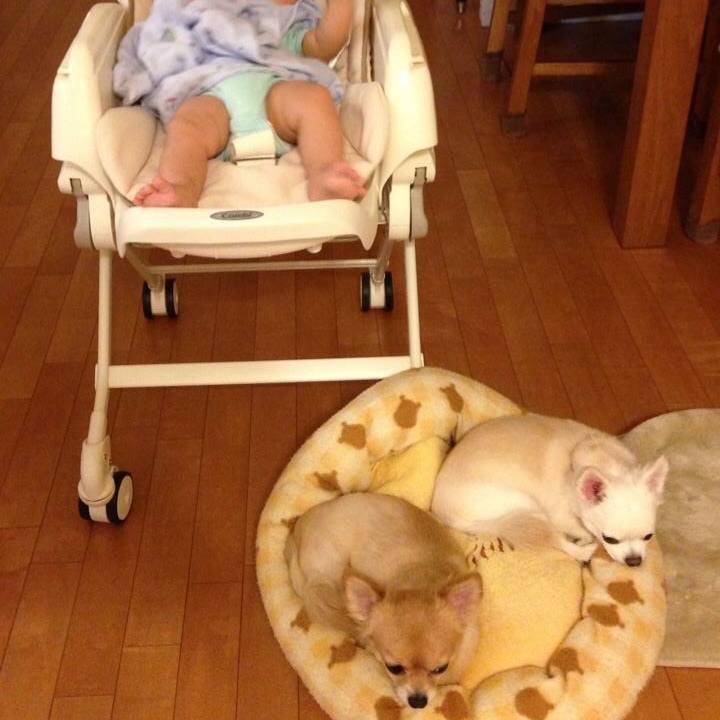 7bd3f2af 9c96 4179 ae07 ad895385289b