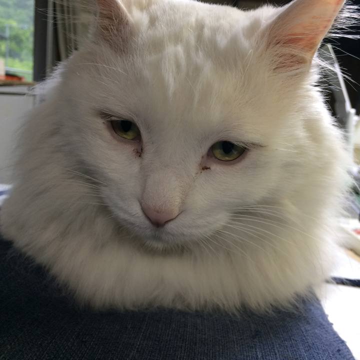 7bd41612 ada8 4c83 addd 175fb4a6946b