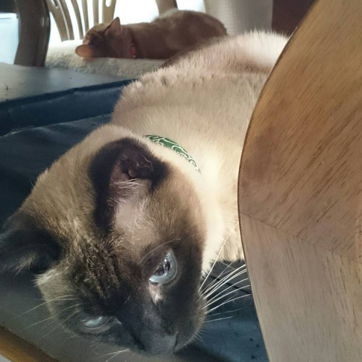 7bd41993 415d 4e3a a748 781f5a210e8a