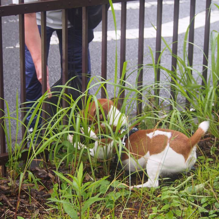 7bd44f51 7e41 40c9 ae31 e675cf83be31