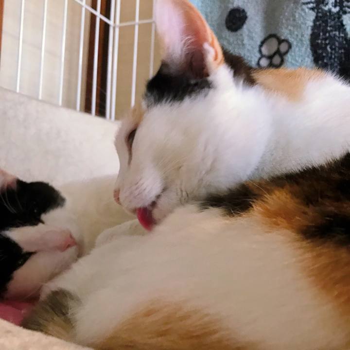 7bd48ebb 761f 41a4 bdf2 0070f8c0ec1c