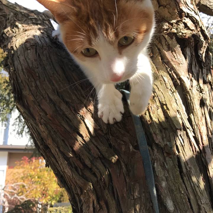 7bd4977a 278d 45d7 bf9f eb8043b3c558