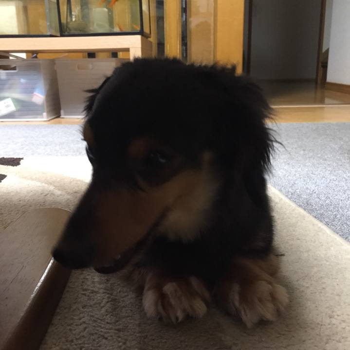 7bd49c61 c700 4b80 a96a 9924ec245f38