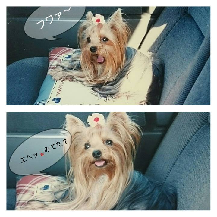 7bd4be41 af99 4c3e b4cd b47ebe61a066