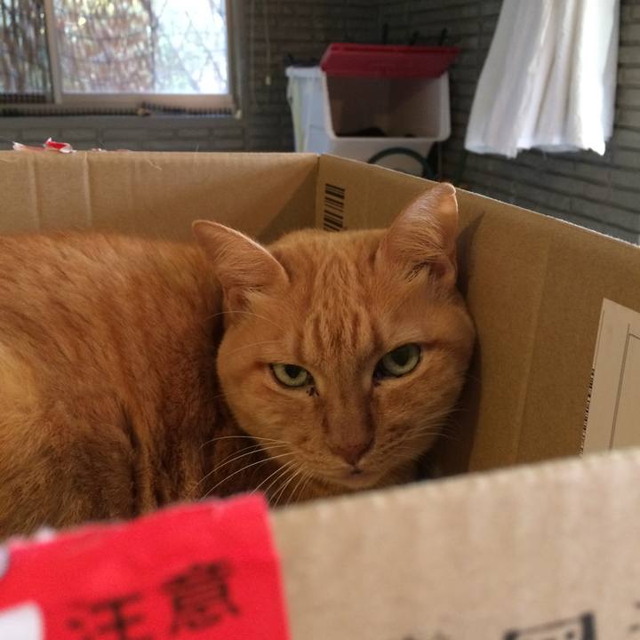 7bd54ca1 94e1 464e 953d d4dd70e7e13c